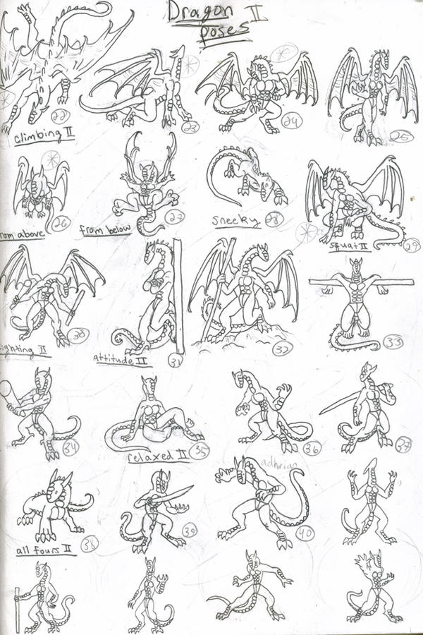 Dragon Poses II