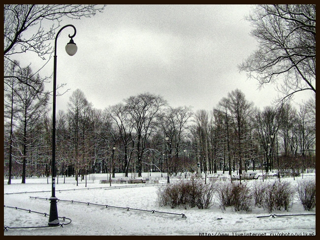 Park January 9 in winter