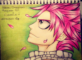 Natsu Dragneel