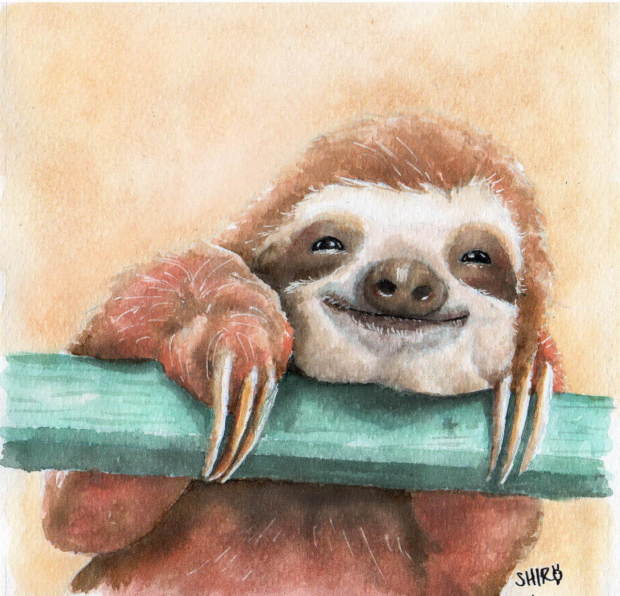 Sloth Smirk Happy Sloth Smiling by Shirobaboon on DeviantArt