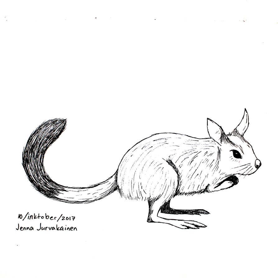 South African Springhare ~ 10 Inktober 2017 by revontuulia on DeviantArt