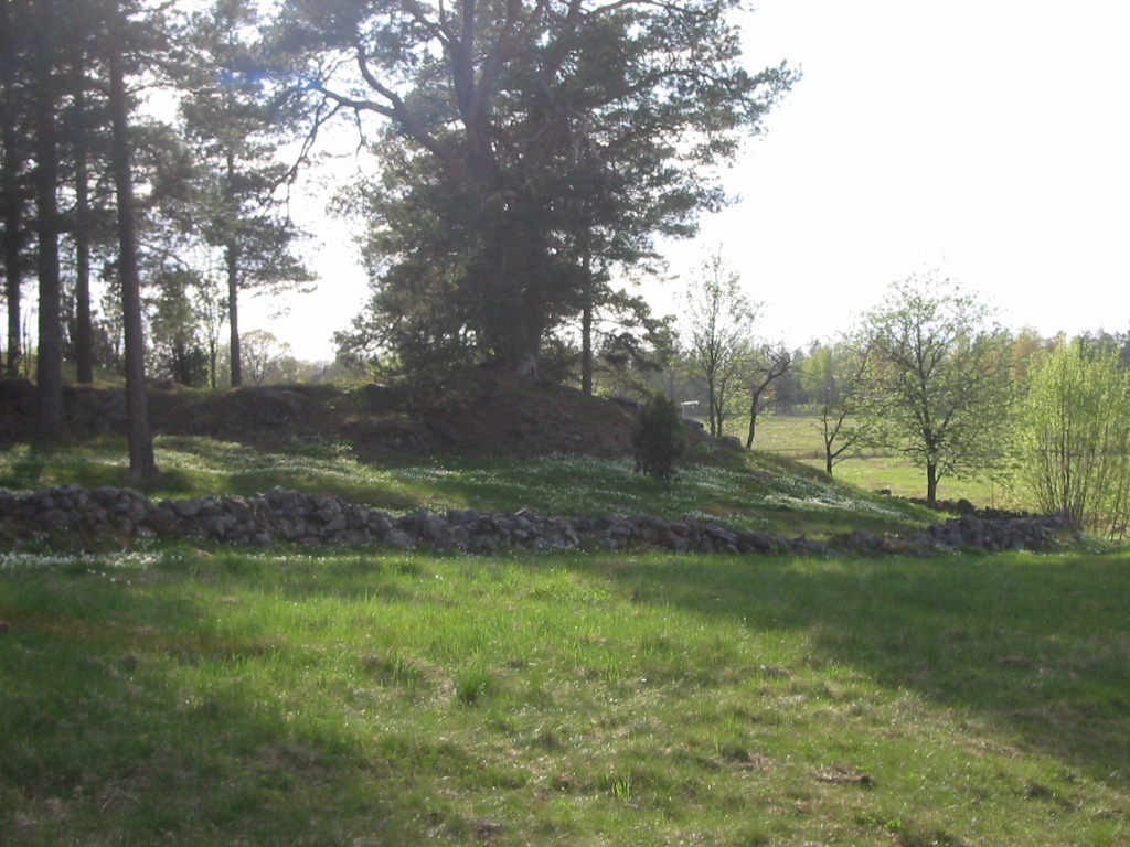 stone wall and landscape