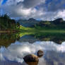 Blea Tarn 5