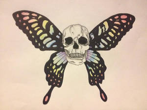 Skull Butterfly