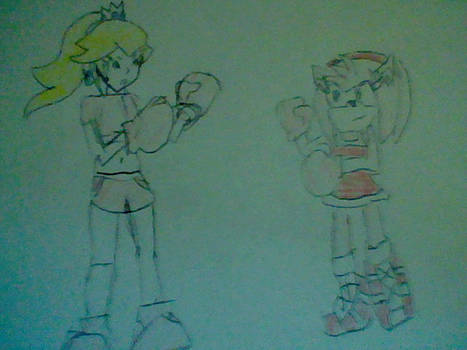 Request: Princess Peach and Amy Rose Boxing