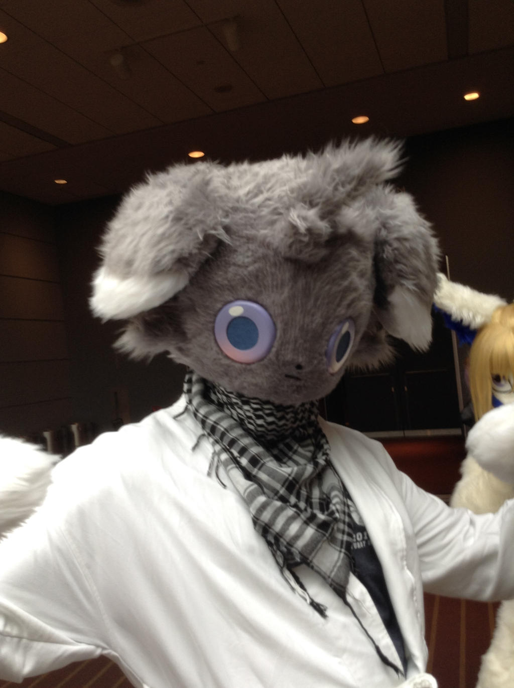 Anthrocon 2014: Espurr