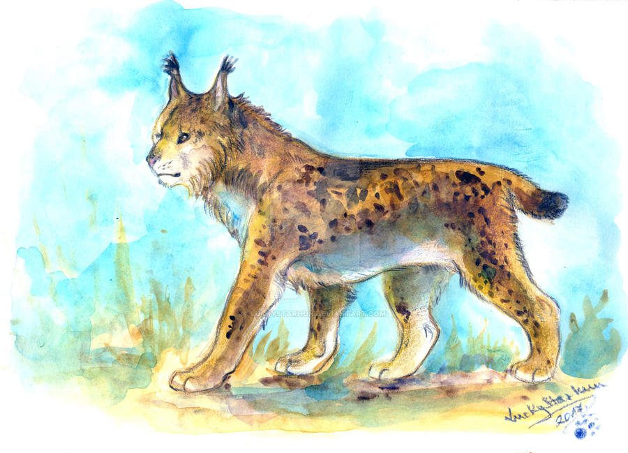 Endangered#3 - Iberian Lynx