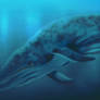 Endangered#4 - Blue whale