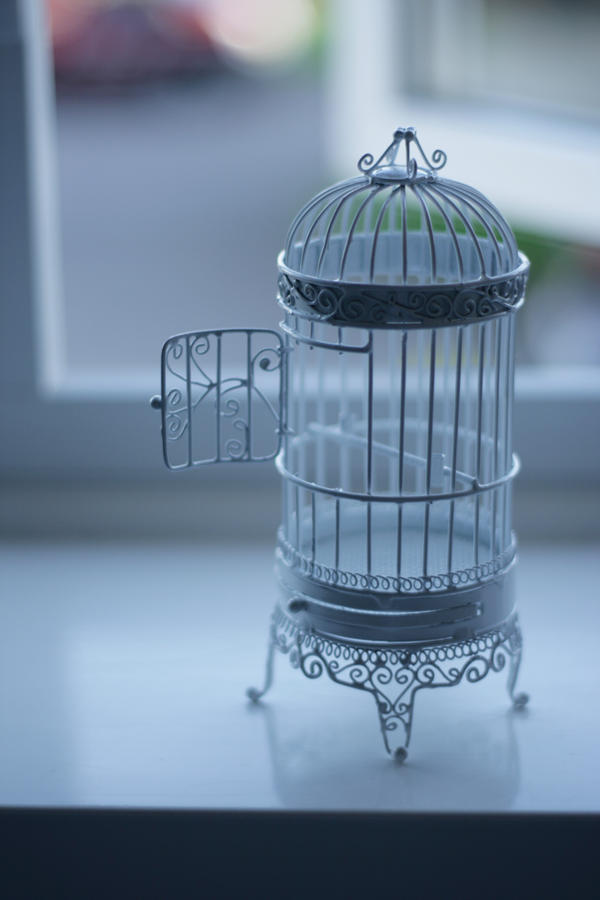 Miniature Birdcage Stock