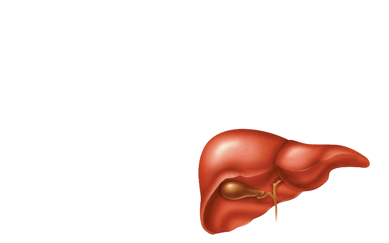 Liver Transplant Gif by Ookamiotokoo on DeviantArt