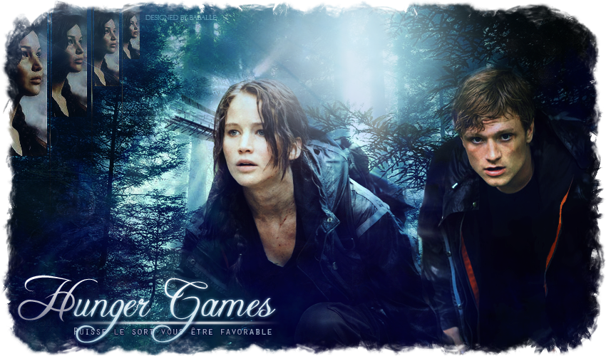 Hunger Games Design by Zwyth on DeviantArt