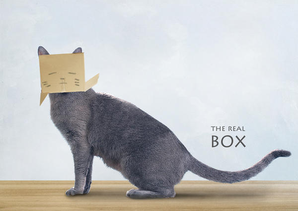 the real box by Jejell on DeviantArt