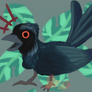 featherary day 7 - spangled drongo