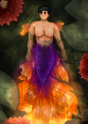 MerMay D7 Betta