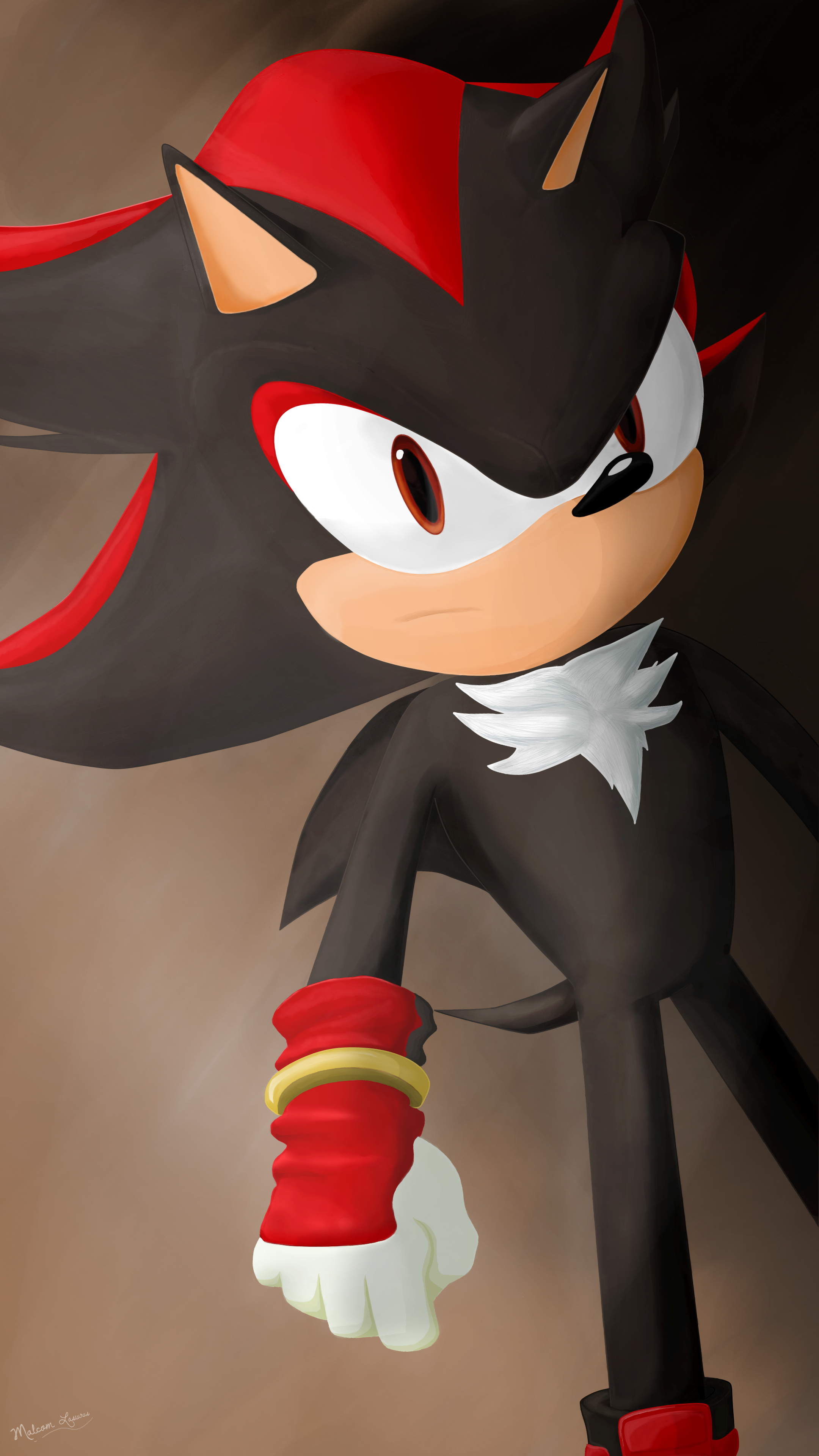 Shadow The Hedgehog (Sonic Boom)