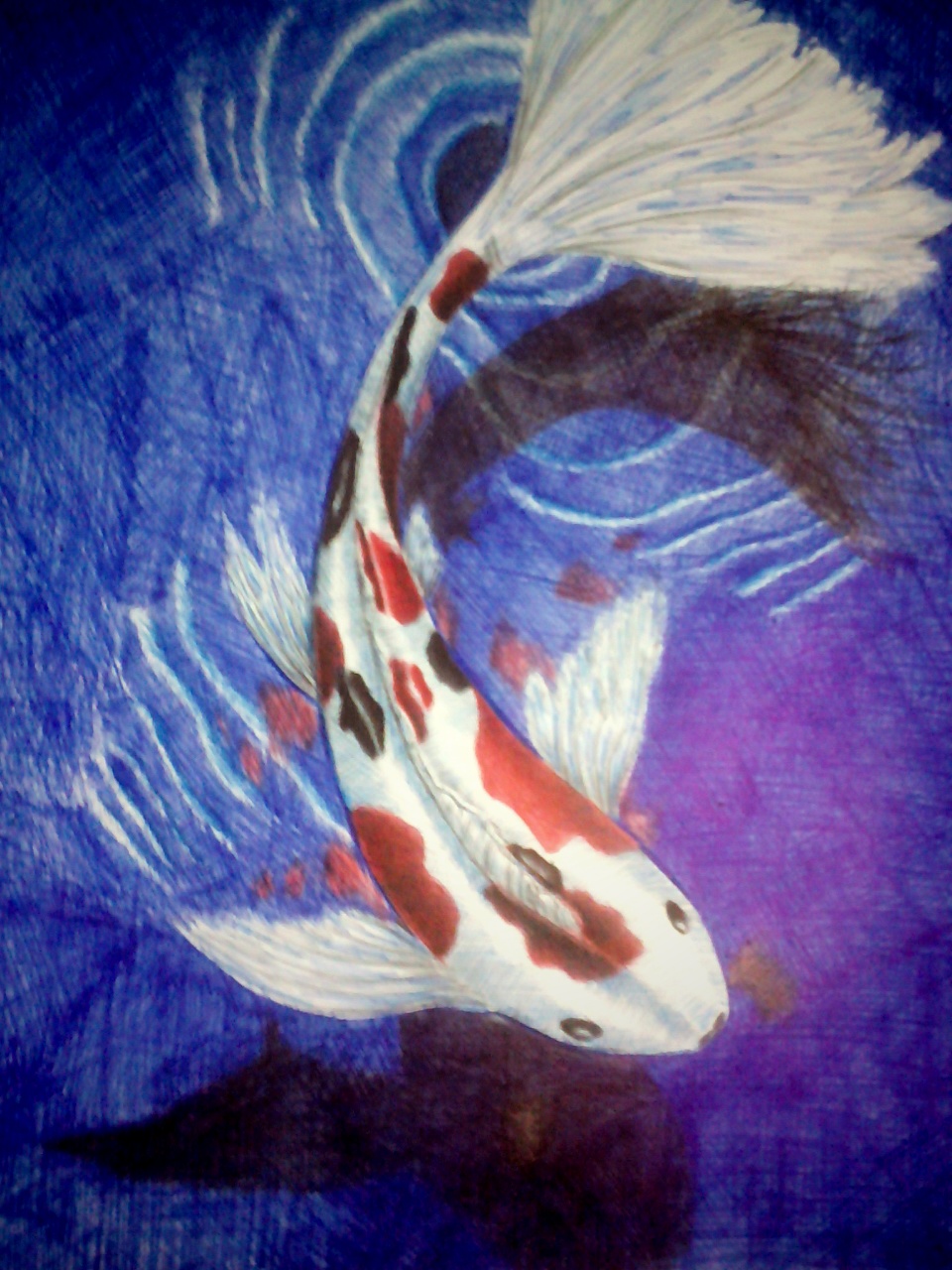 KOI