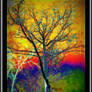 Rainbow Tree