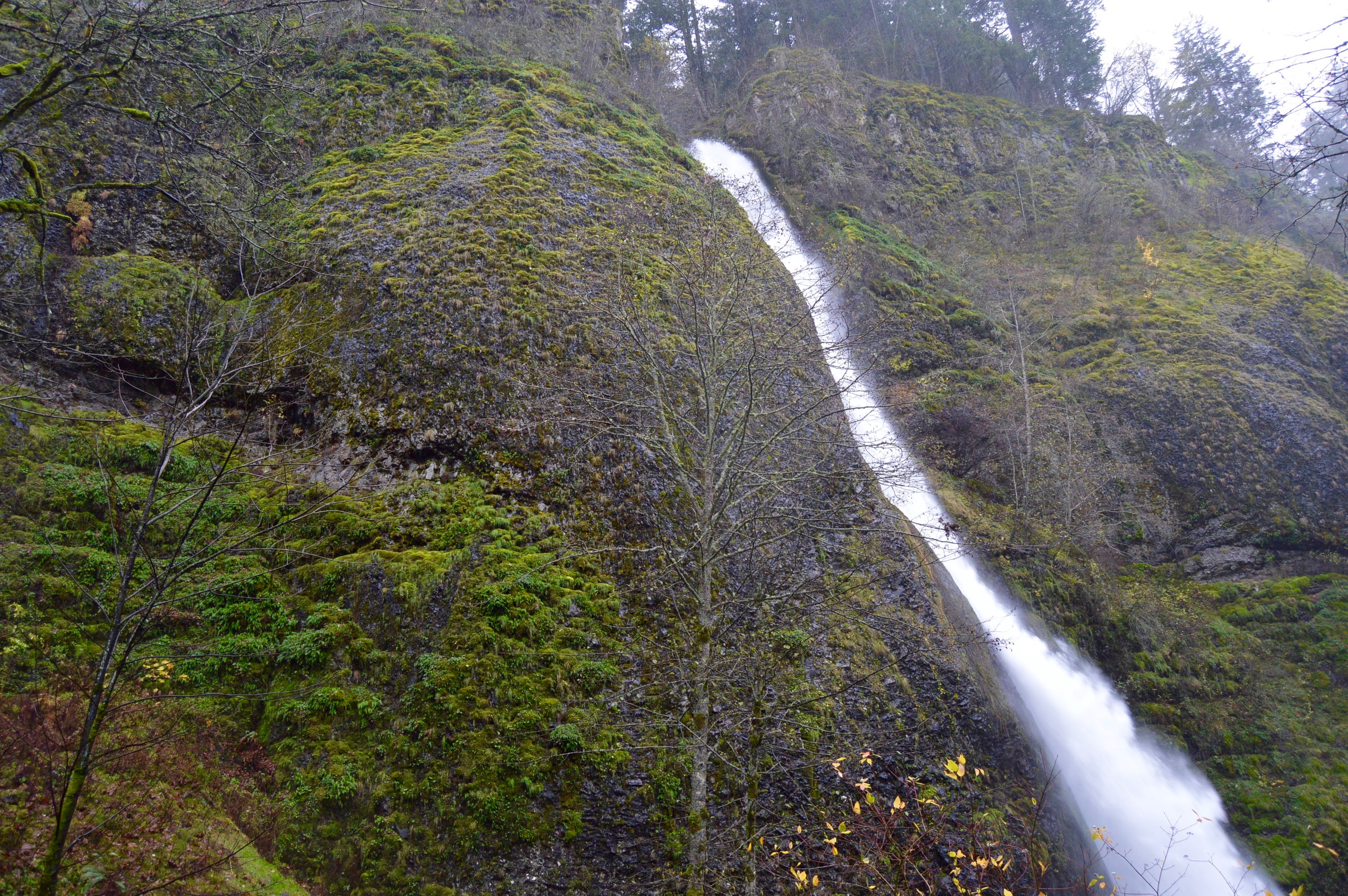 Wahkeena Falls and My Forever