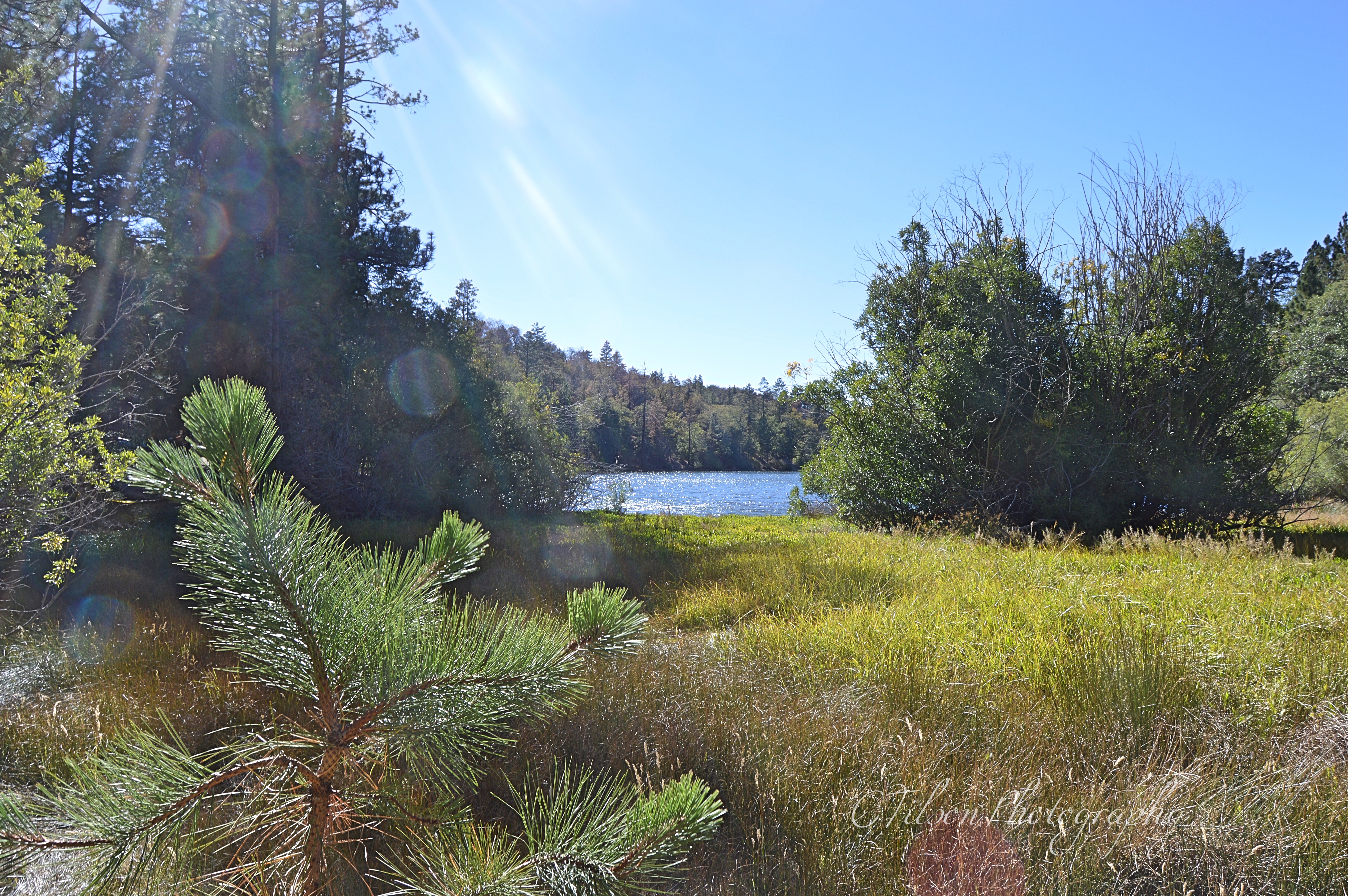 Jenk's Lake