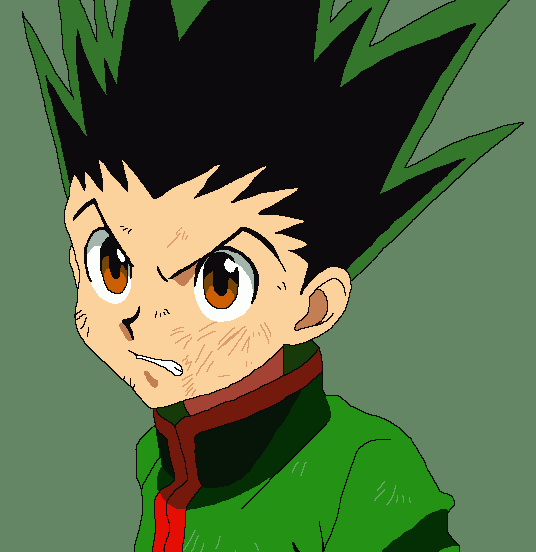 Gon hunter x hunter