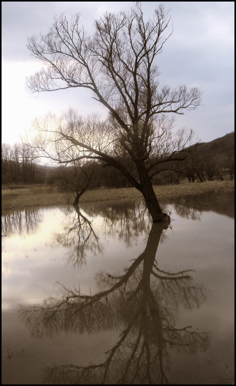 Alone in the water