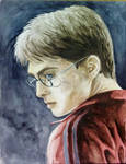 Harry Potter by Pterona