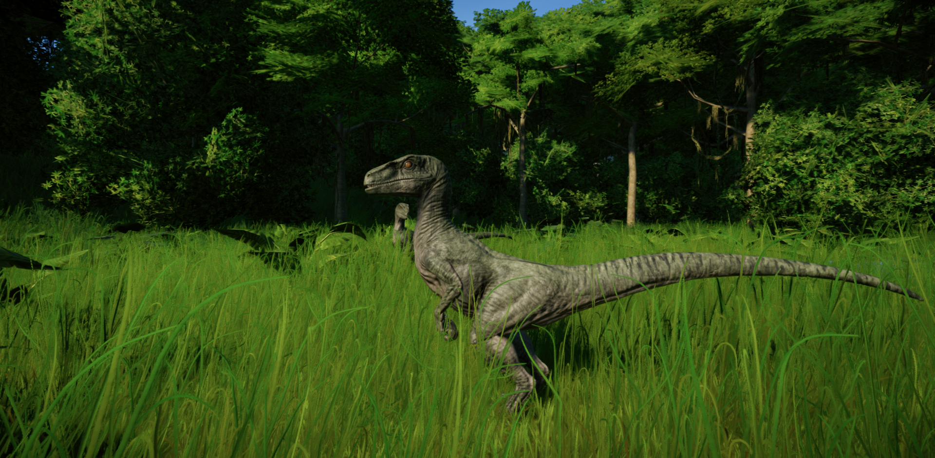 Jurassic World Evolution Velociraptor By Kanshinx3 On Deviantart 