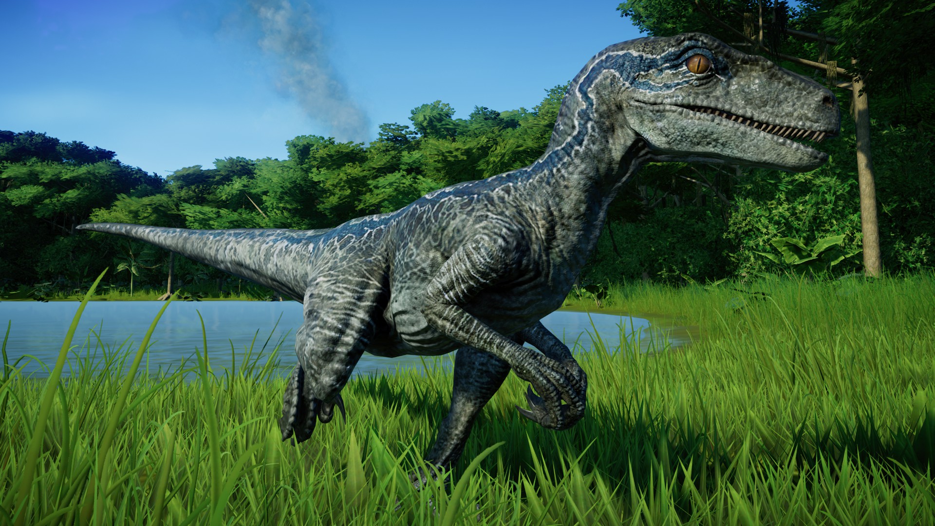 Jurassic World Evolution Velociraptor 02 By Kanshinx3 On Deviantart Jurassic World Evolution Velociraptor 02 By Kanshinx3 On Deviantart