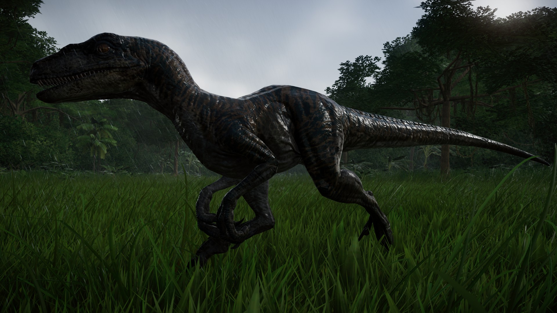 Jurassic World Evolution Velociraptor 05 By Kanshinx3 On Deviantart 