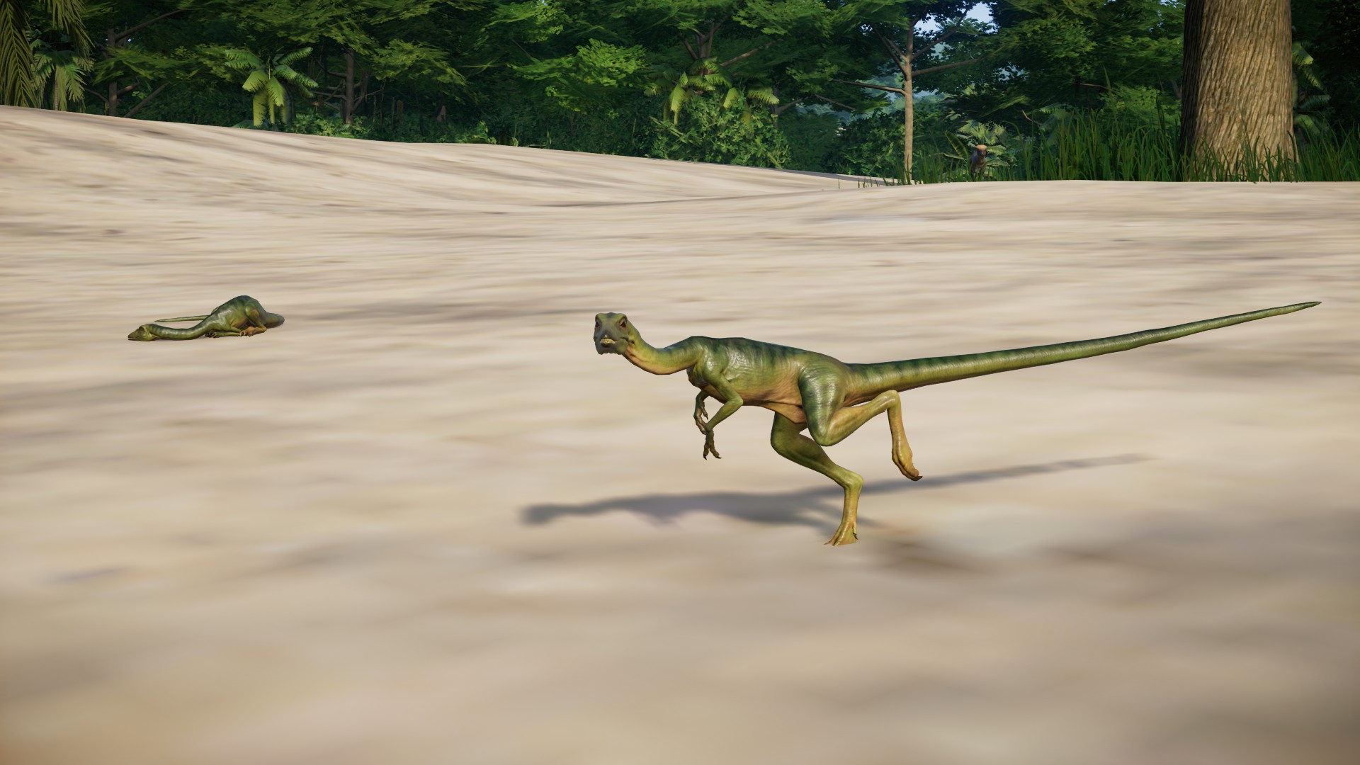 Compsognathus Jurassic Park