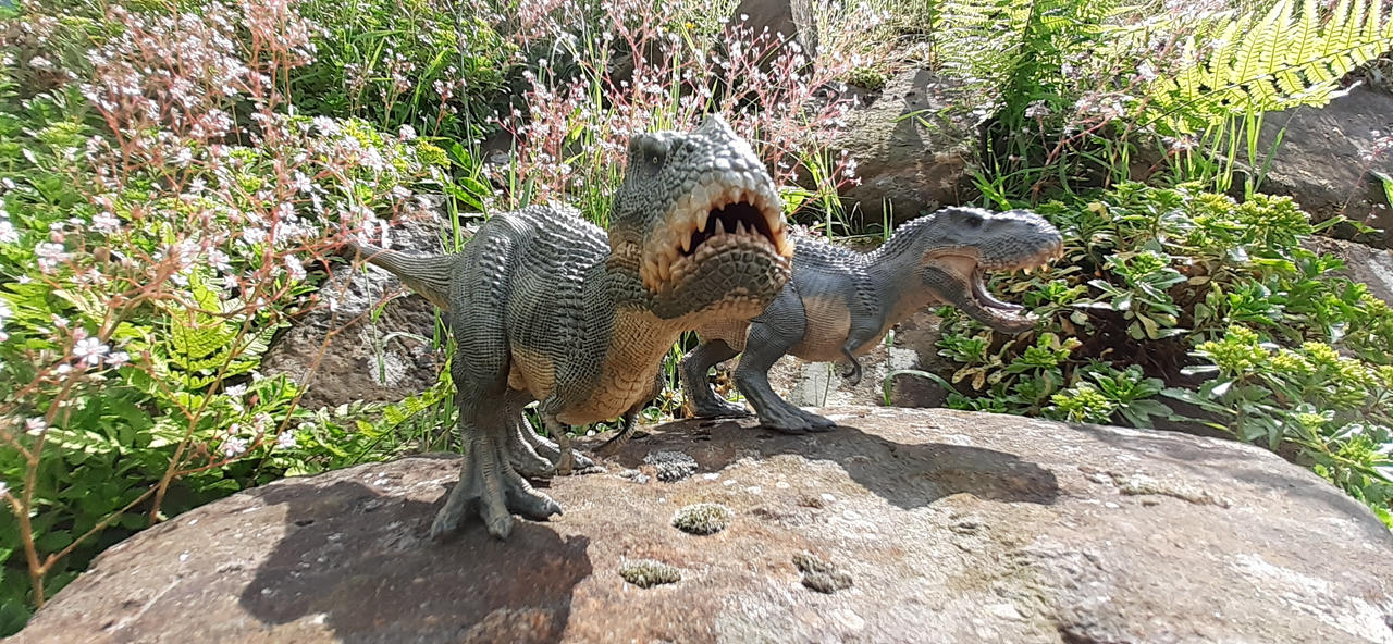 Two Rulers by KanshinX3 on DeviantArt