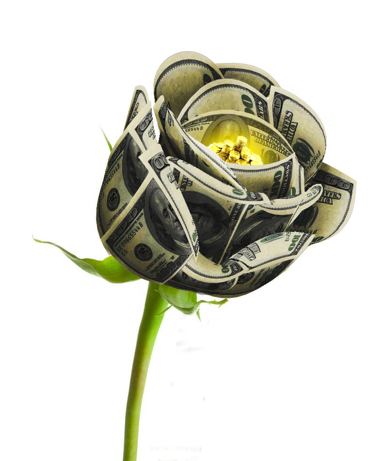 Money rose by EADesignDesignIsFun on DeviantArt
