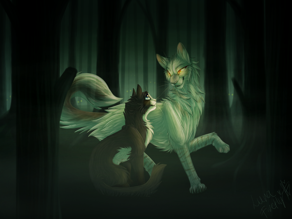 Dark Forest Commission