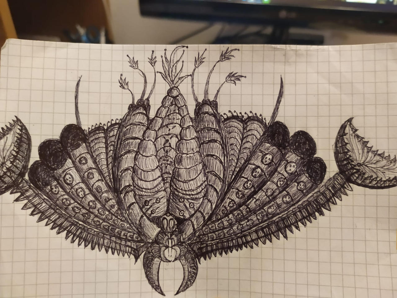 Bugface by DeepAnemoia on DeviantArt