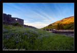 Bluebells at Eilean Donan by Pistolpete2007