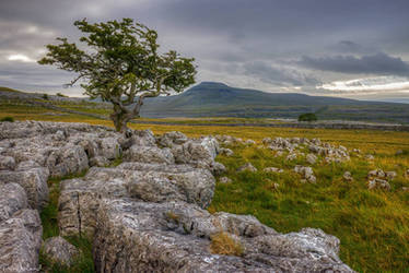 Twistleton Scar