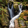 Mossy cascade
