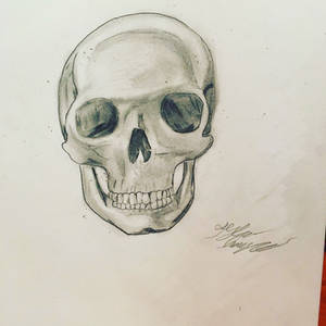 Skull