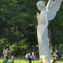 Angel Stock 2