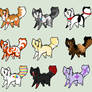 adopts open- 10 pts