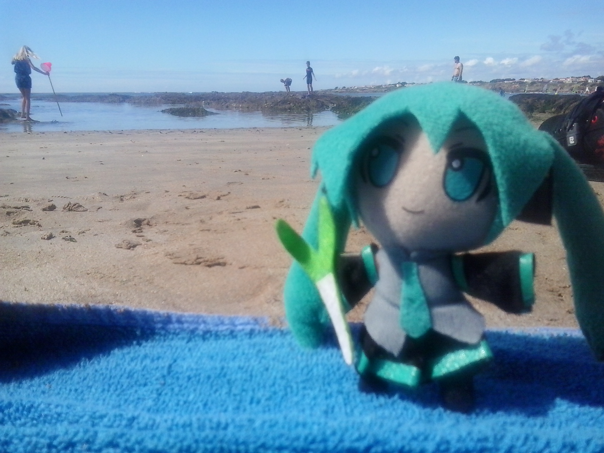 Plush Miku To The Beach