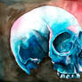 skull watercolor painting #8