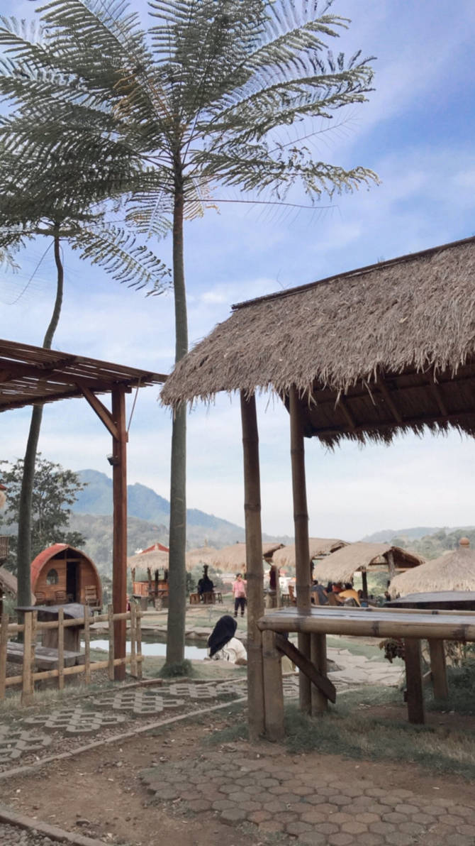 (Download) (PDF) Kingdom Woman Devotional Full Boo by Floydpope on ...