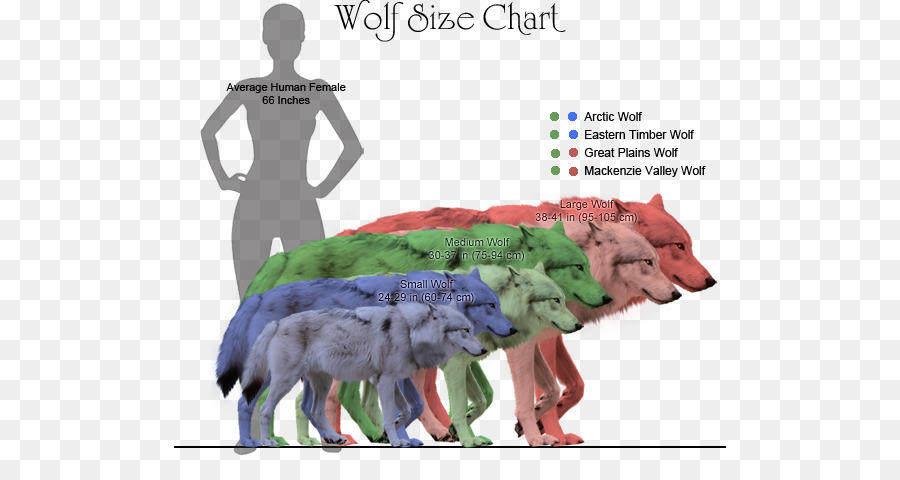 Grey Wolves Size Wolf Size Chart by Bonnerscar on DeviantArt