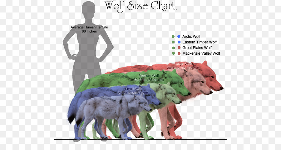 Wolf Size Chart By Bonnerscar On DeviantArt