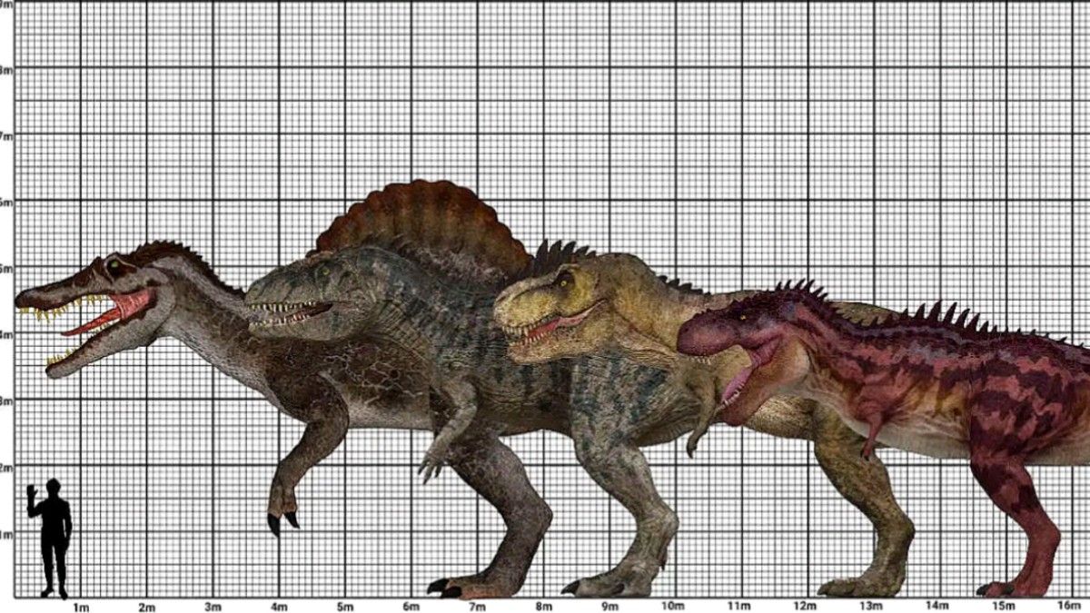 The 4 Big Apex Predators by Bonnerscar on DeviantArt