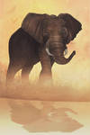 Elephant by Zolfyer