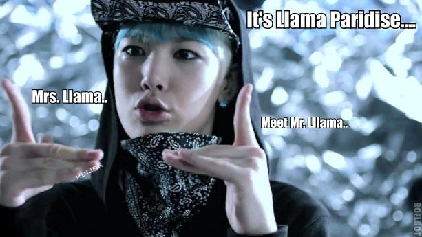 B.A.P Zelo (No Mercy MV) 'Meet the Llamas' XD