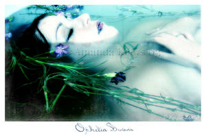 Ophelia Drowns