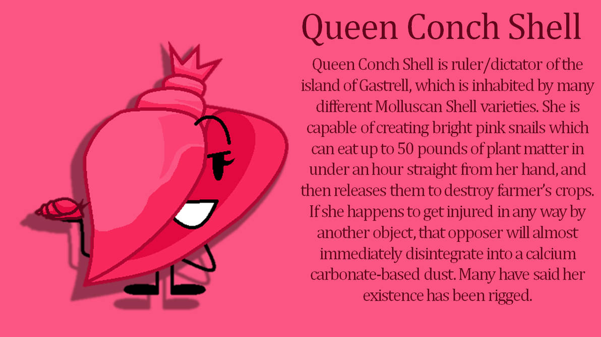 Queen Conch Shell by MountainDewMauiBlast on DeviantArt
